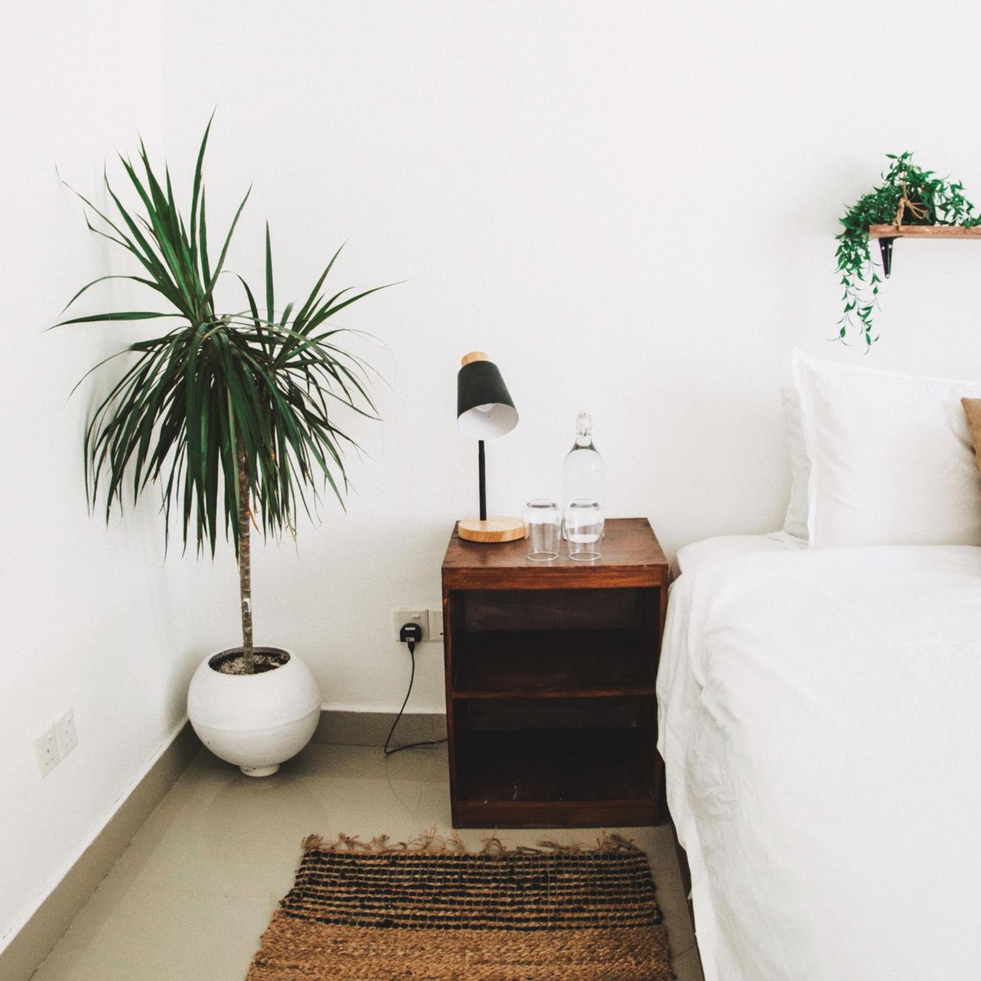 Hotel Twin Palms Surfhouse Thulusdhoo Zewnętrze zdjęcie