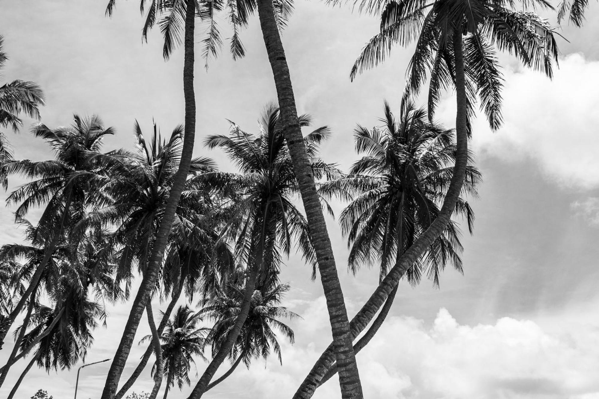 Hotel Twin Palms Surfhouse Thulusdhoo Zewnętrze zdjęcie